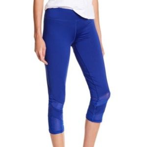 Royal Blue Capri Workout